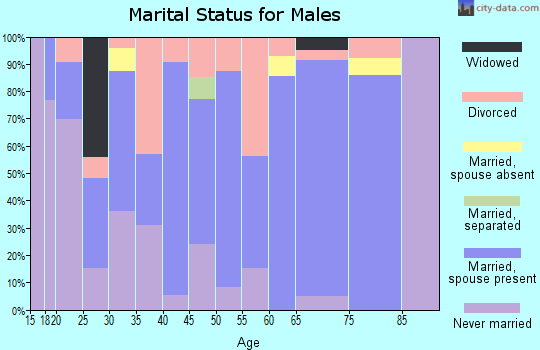 Zip code 62312 marital status for males