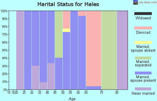 Zip code 62313 marital status for males