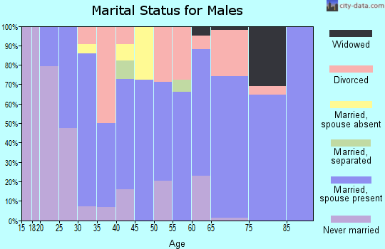 Zip code 62326 marital status for males