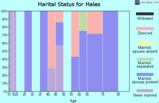 Zip code 62334 marital status for males