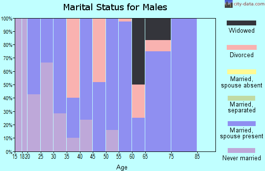 Zip code 62343 marital status for males