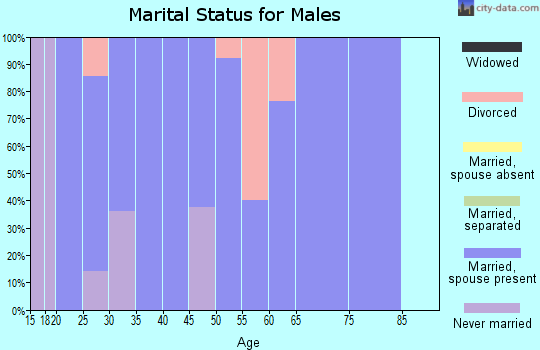 Zip code 62345 marital status for males