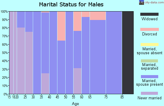 Zip code 62347 marital status for males