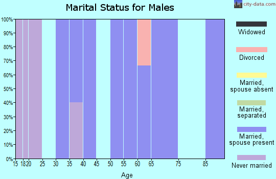 Zip code 62348 marital status for males
