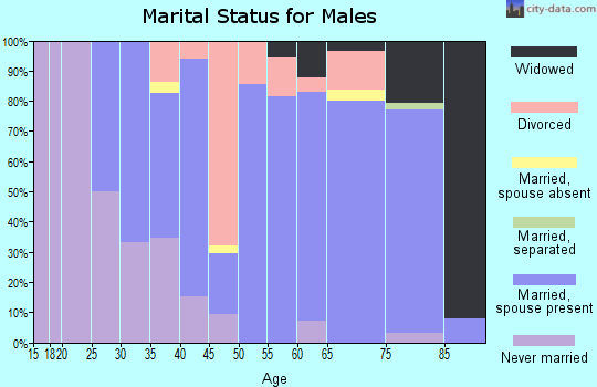 Zip code 62351 marital status for males