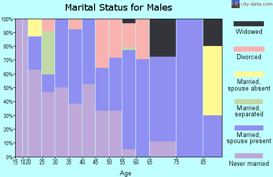 Zip code 62355 marital status for males