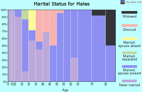 Zip code 62356 marital status for males