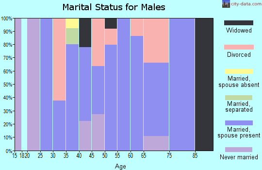 Zip code 62361 marital status for males
