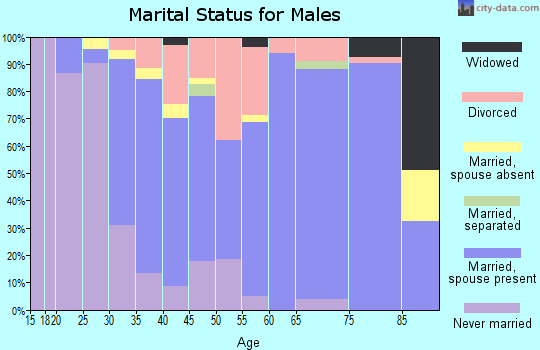 Zip code 62363 marital status for males