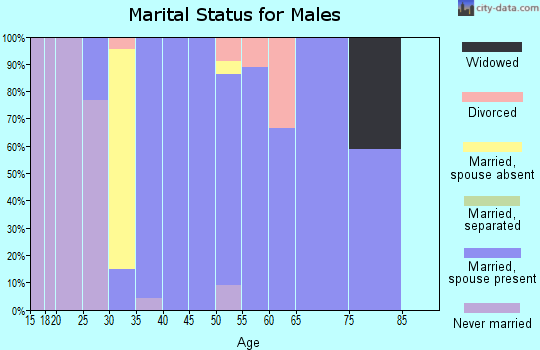 Zip code 62365 marital status for males