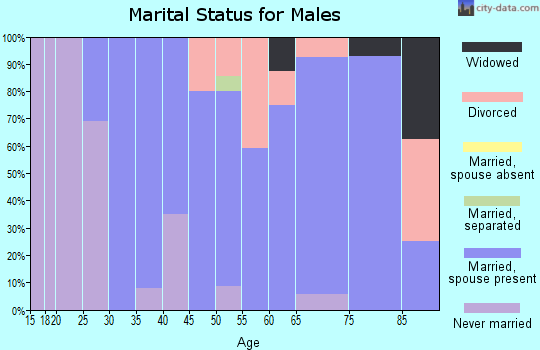 Zip code 62367 marital status for males