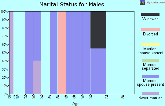 Zip code 62373 marital status for males