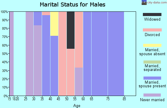 Zip code 62374 marital status for males