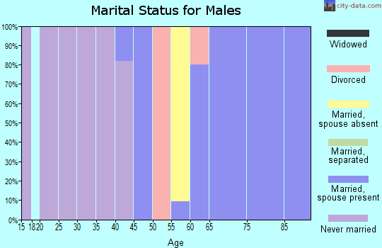 Zip code 62375 marital status for males