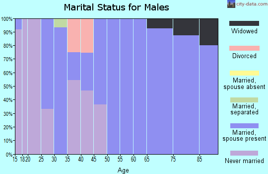 Zip code 62376 marital status for males