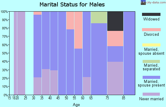 Zip code 62378 marital status for males