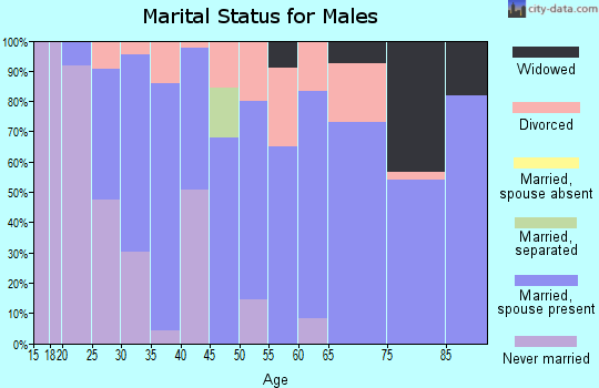 Zip code 62379 marital status for males