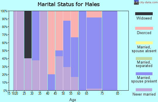 Zip code 62380 marital status for males