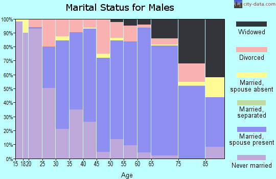Zip code 62401 marital status for males