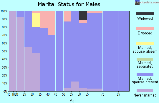 Zip code 62410 marital status for males