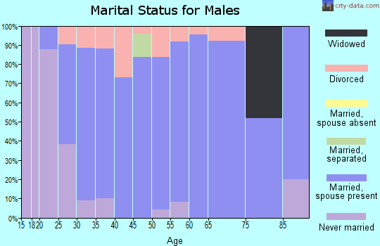 Zip code 62424 marital status for males