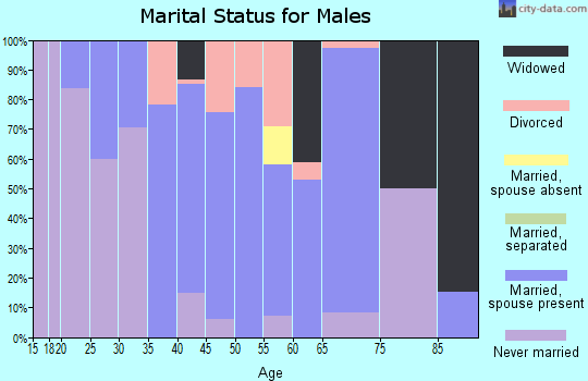 Zip code 62431 marital status for males