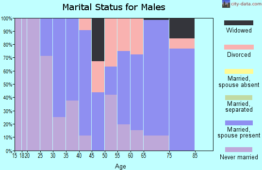 Zip code 62433 marital status for males