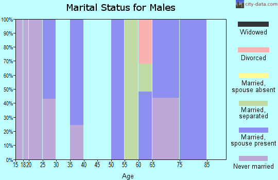 Zip code 62438 marital status for males