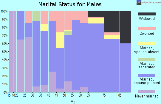 Zip code 62441 marital status for males