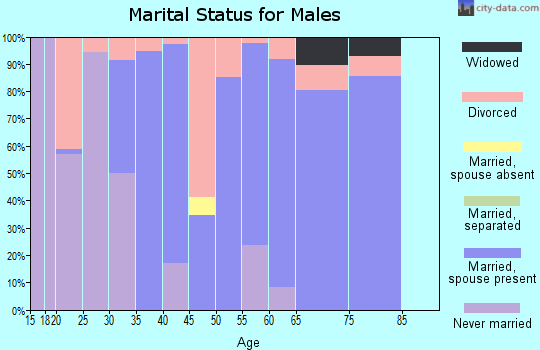 Zip code 62443 marital status for males