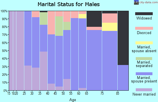Zip code 62447 marital status for males