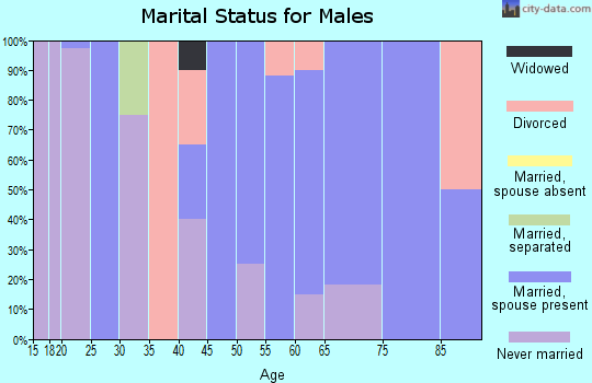 Zip code 62452 marital status for males