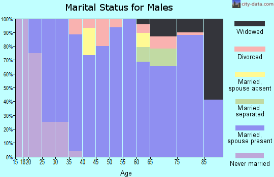 Zip code 62460 marital status for males