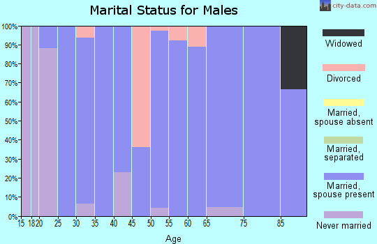 Zip code 62462 marital status for males