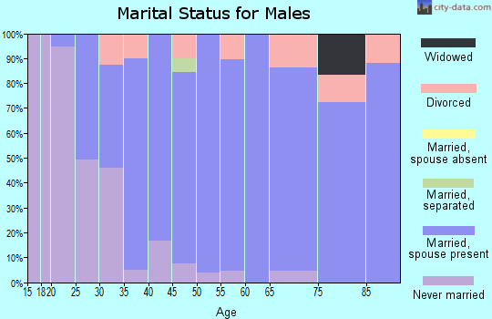 Zip code 62463 marital status for males
