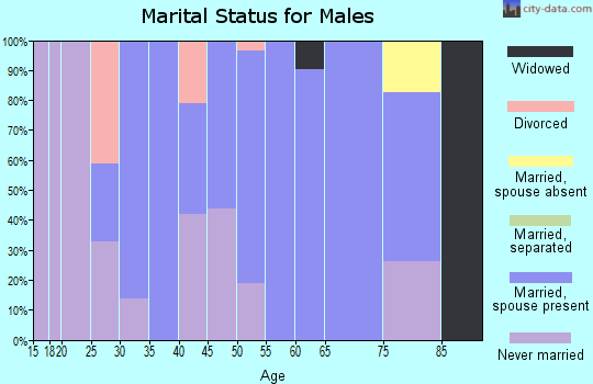 Zip code 62465 marital status for males