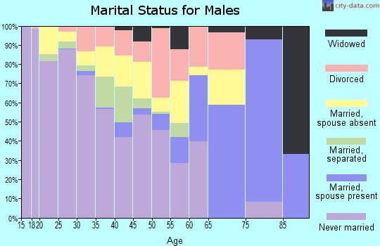 Zip code 62466 marital status for males