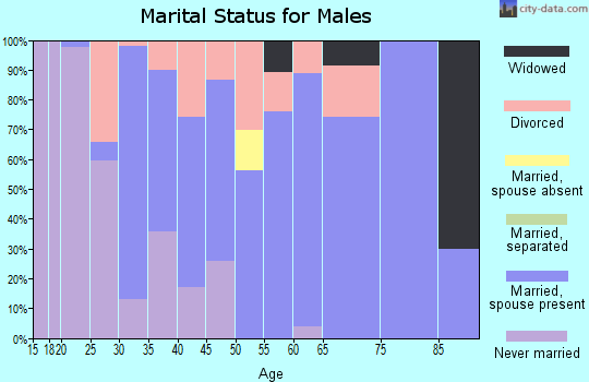 Zip code 62468 marital status for males