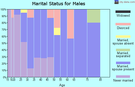 Zip code 62473 marital status for males