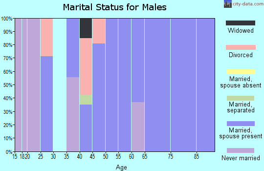 Zip code 62474 marital status for males