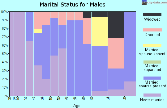 Zip code 62476 marital status for males