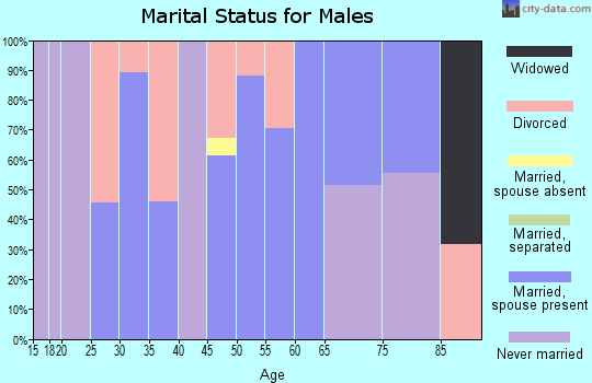 Zip code 62477 marital status for males