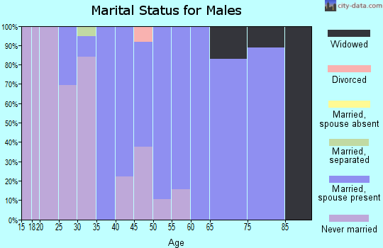 Zip code 62479 marital status for males