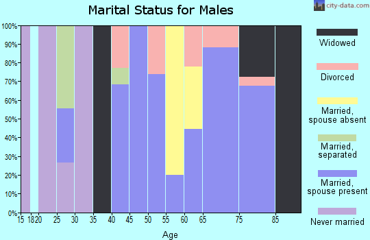 Zip code 62480 marital status for males