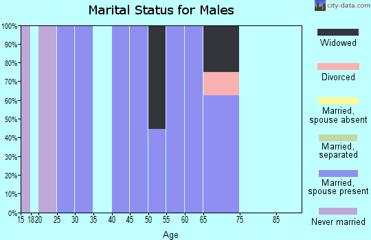 Zip code 62481 marital status for males