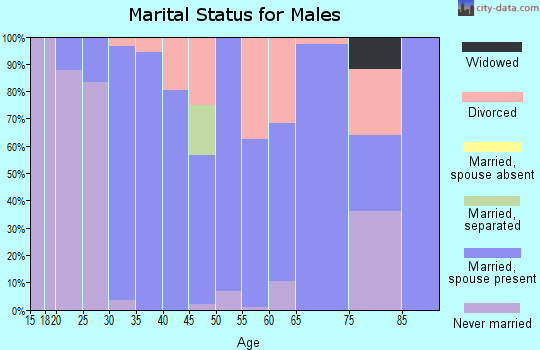 Zip code 62501 marital status for males