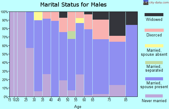 Zip code 62510 marital status for males