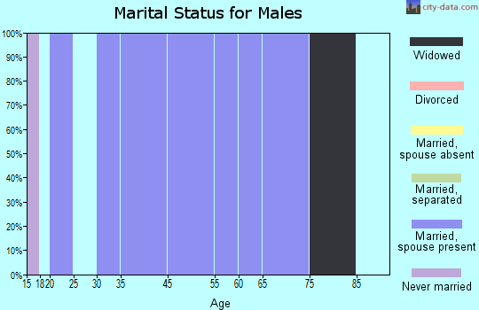 Zip code 62511 marital status for males