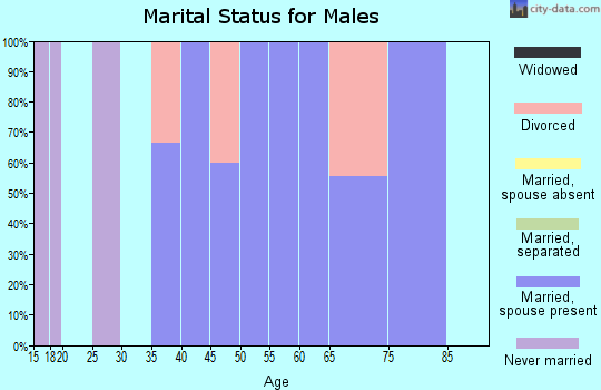 Zip code 62512 marital status for males