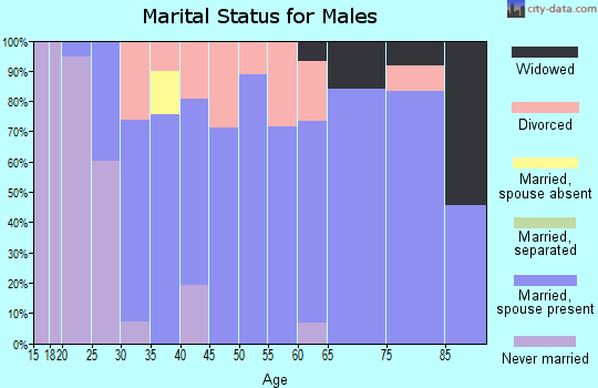 Zip code 62513 marital status for males